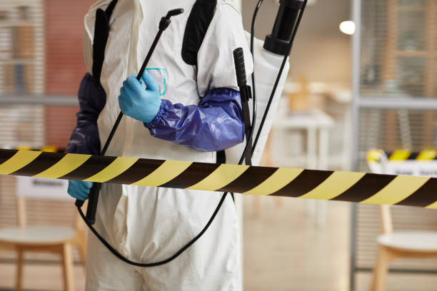 Professional Sewage Cleanup technician working in Jasper, TX